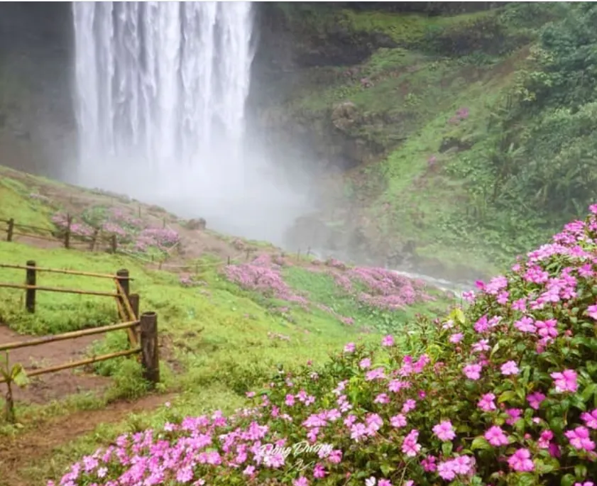Tad Yicsua waterfalls in forest