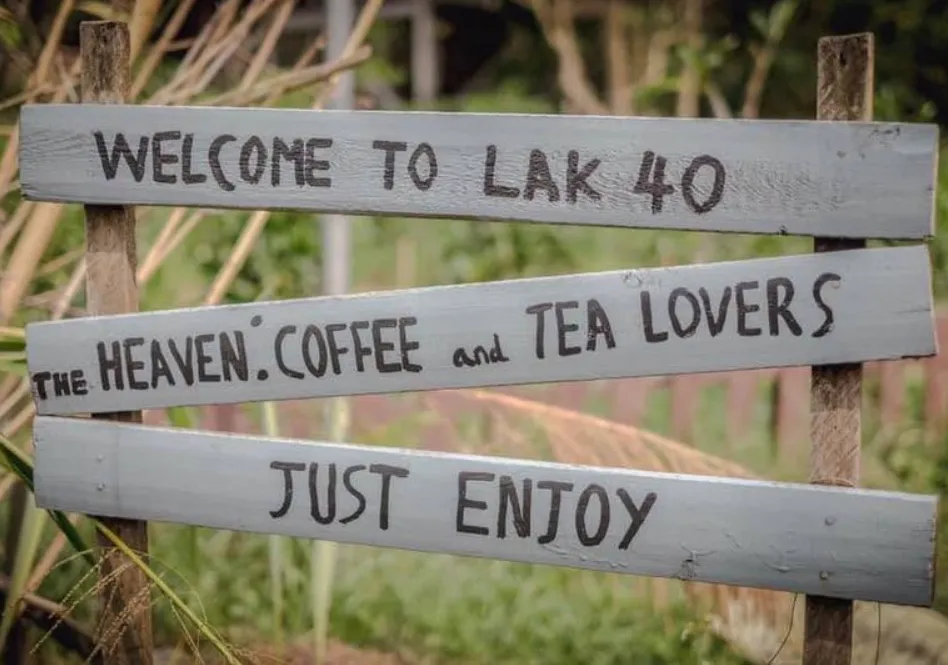 KM40 coffee farm, Bolaven Plateau
