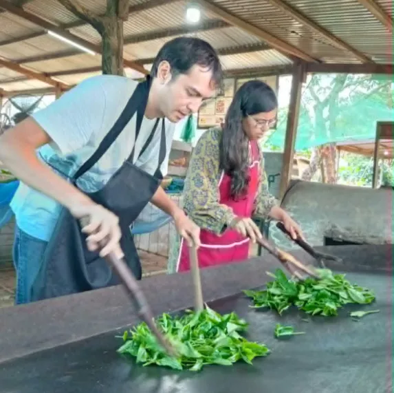 Tea making workshop in Paksong, Bolaven Plateau