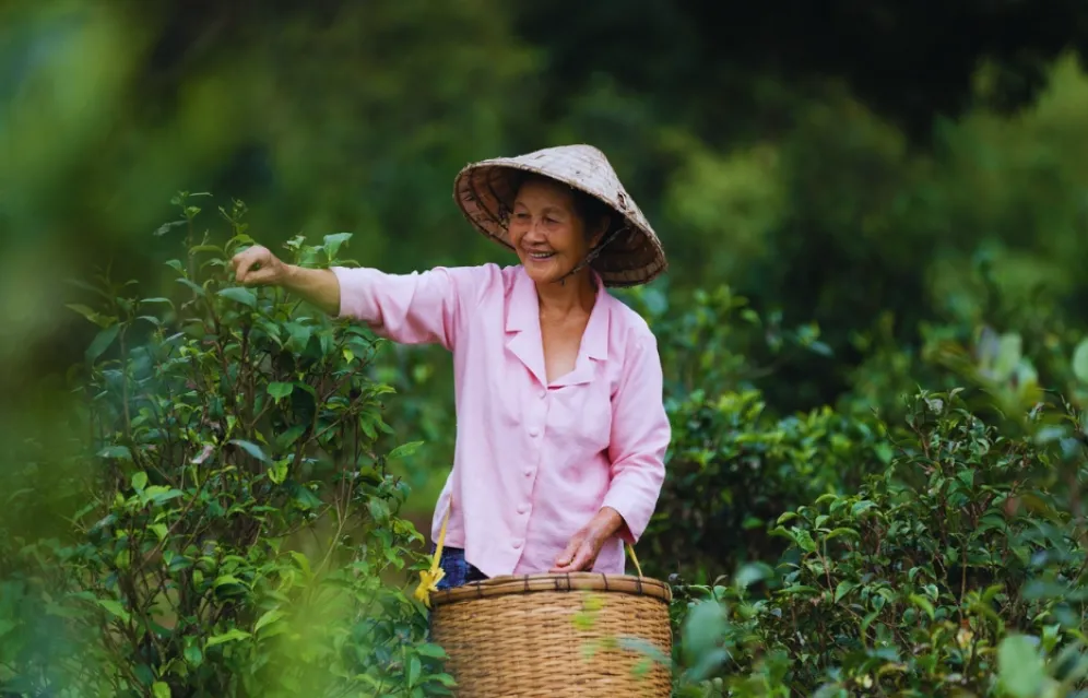 Mr Vieng coffee farm and village